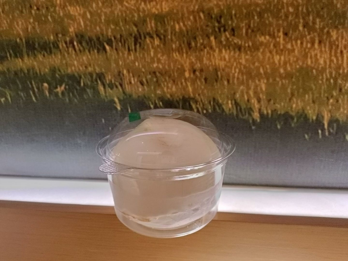 椰子蛋