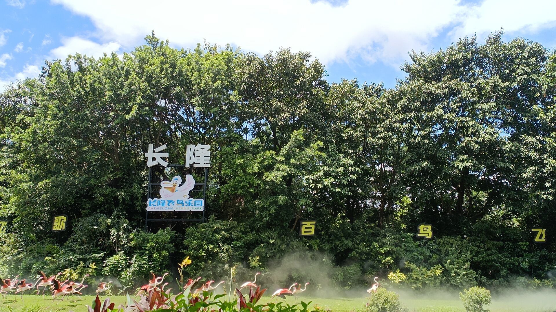 长隆飞鸟世界